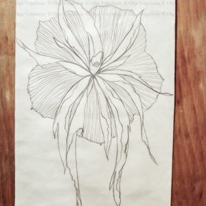 рисунок