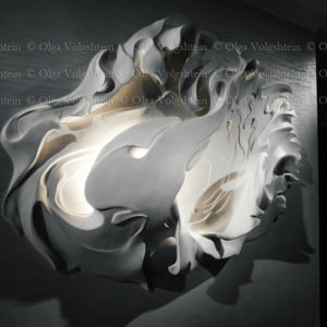 sea shell on the wall — interior decoration