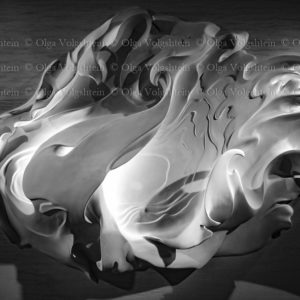 sea shell or sea waves- interior wall decoration